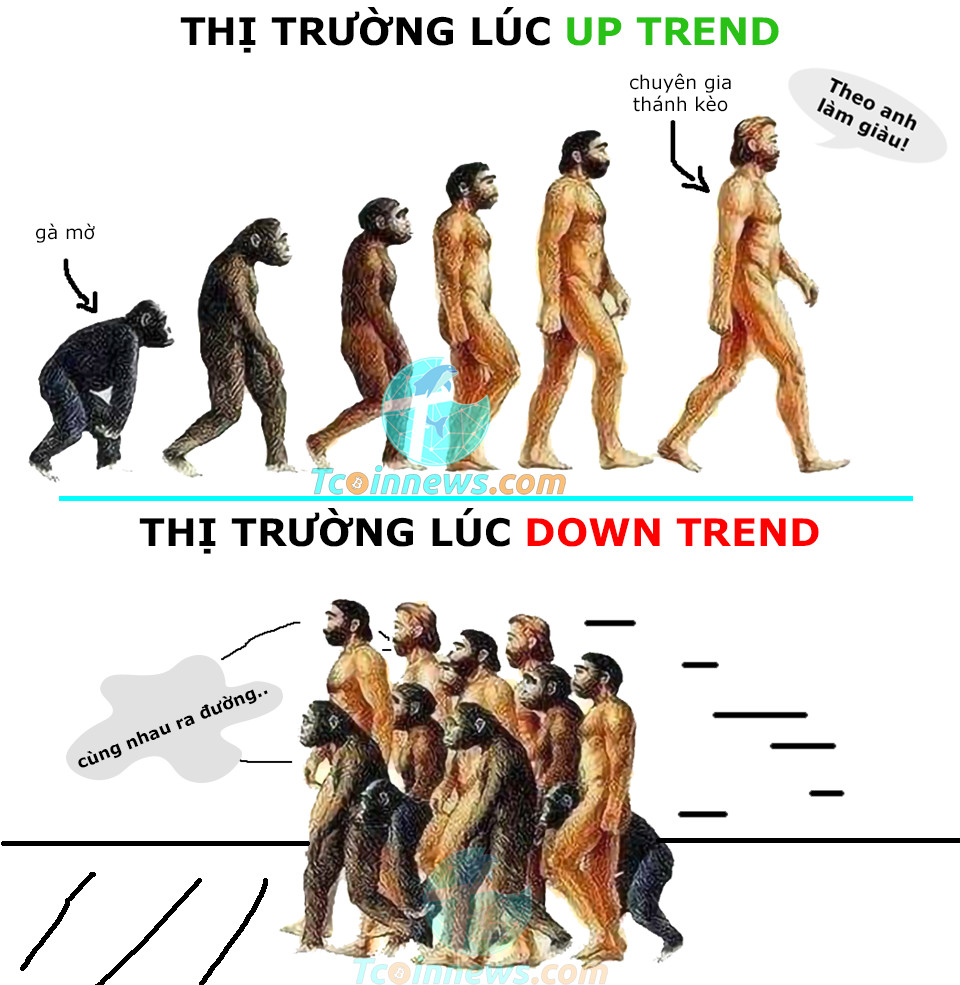 crypto-vui-traderviet-1.jpg